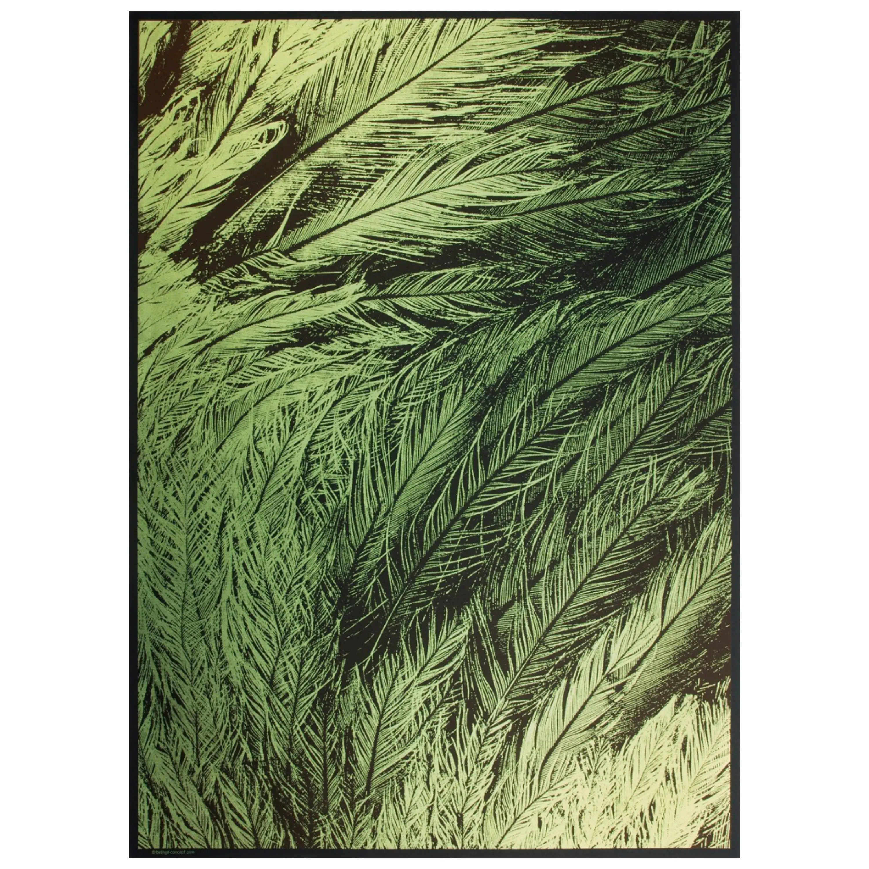 Geschenkpapier Pfauenfeder Grün – 3 Bögen